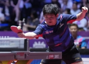 爱游戏APP-瑞典队碾压日本队，许昕惊艳四座