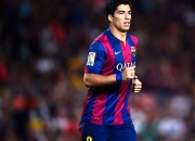 爱游戏在线-赛道之外，当瑞典粉碎巴西，F1年度争冠的隐秘支点