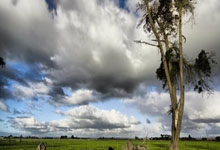 爱游戏在线-雷诺车队完胜迈凯伦，阿隆索状态火热