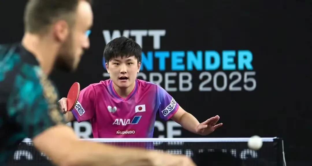 波兰队碾压葡萄牙队，张本智和高光表现