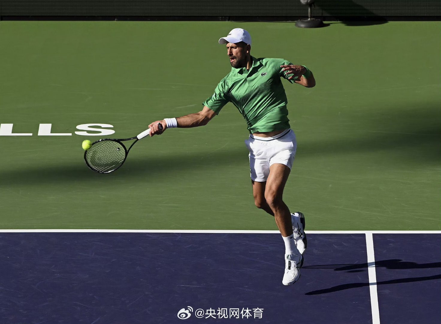 美网横扫ATP总决赛，德约科维奇高光表现