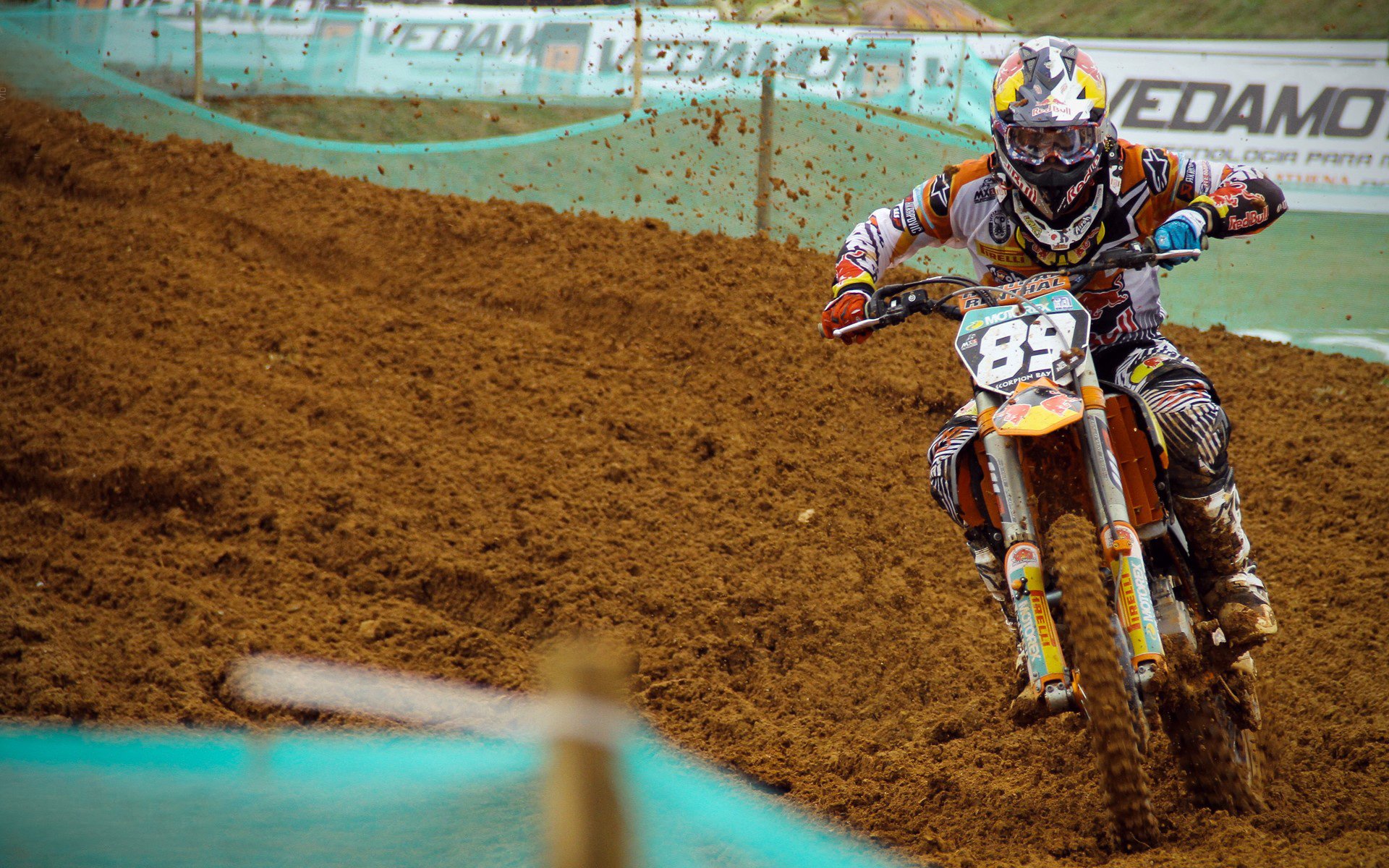 奥运周期关键战之夜,武切维奇节奏完全掌控