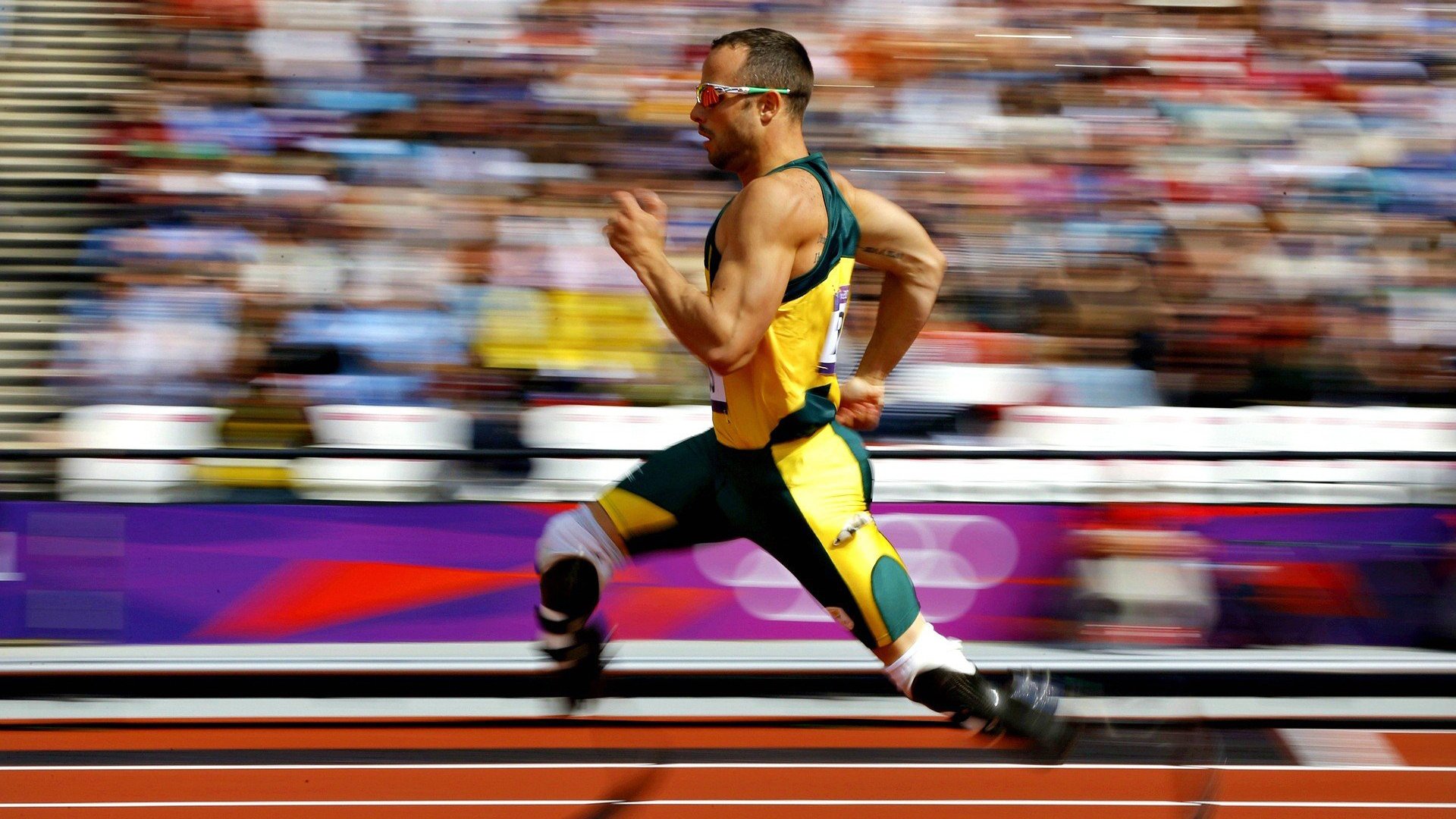 戈贝尔冠军级表现定乾坤,深圳队力克雄鹿展现防守艺术